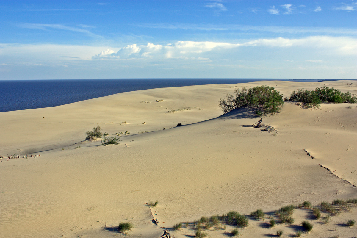 Дюни на Куршській косі